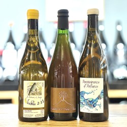 Les Fesses <span> 2021 </span> Vignoble de l\'arbre blanc BOX 3 Bouteilles